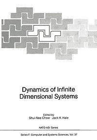 Dynamics of Infinite Dimensional Systems