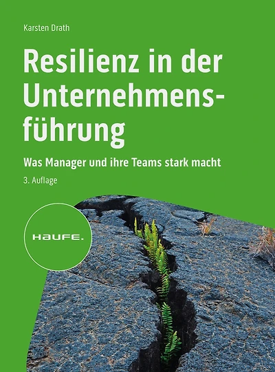 Resilienz in der Unternehmensführung: Was Manager und ihre Teams stark macht