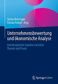 Unternehmensbewertung und ï¿½konomische Analyse: Interdisziplinï¿½re Aspekte zwischen Theorie und Praxis