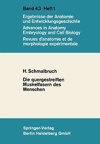 Die quergestreiften Muskelfasern des Menschen