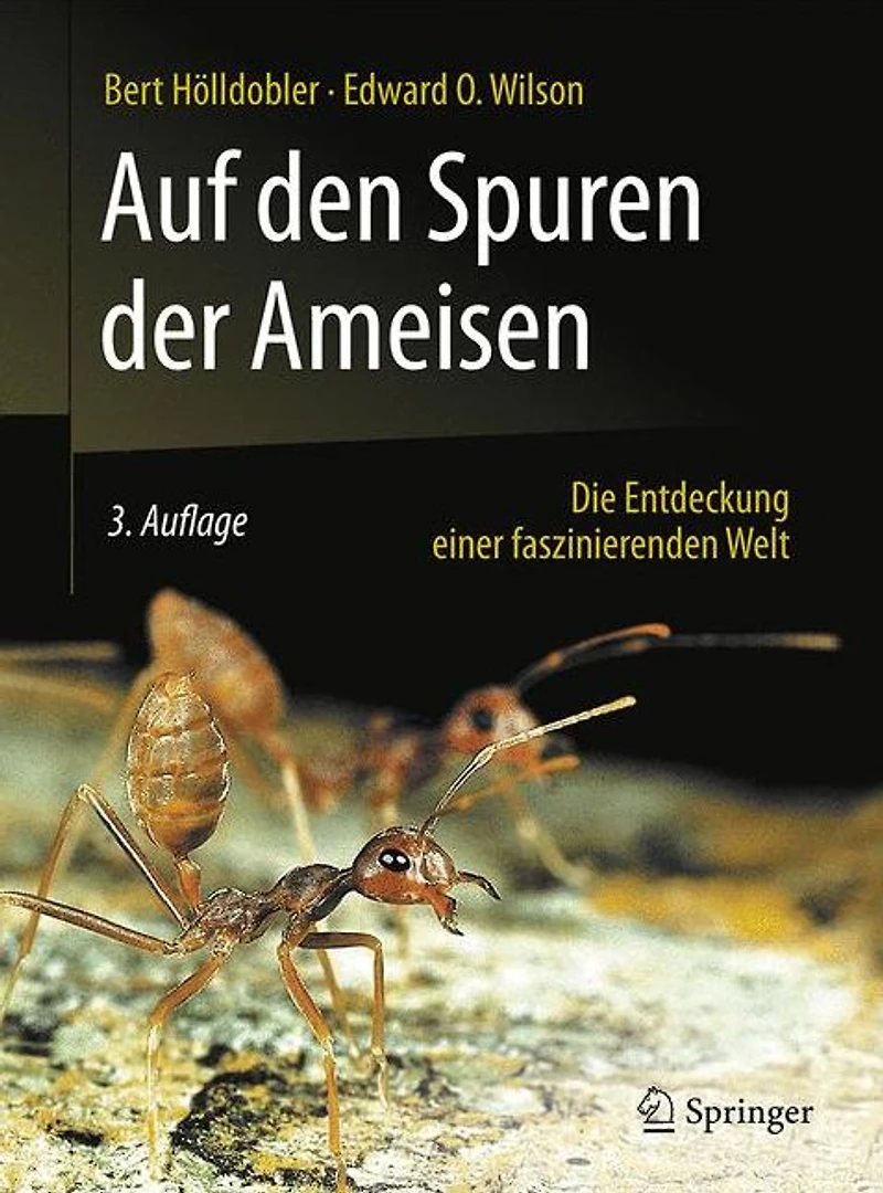 Auf den Spuren der Ameisen: Die Entdeckung einer faszinierenden Welt