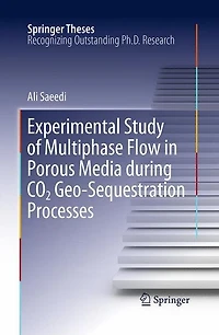 Experimental Study of Multiphase Flow Porous Media during CO2 Geo-Sequestration Processes
