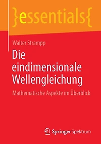 Die eindimensionale Wellengleichung: Mathematische Aspekte im Überblick