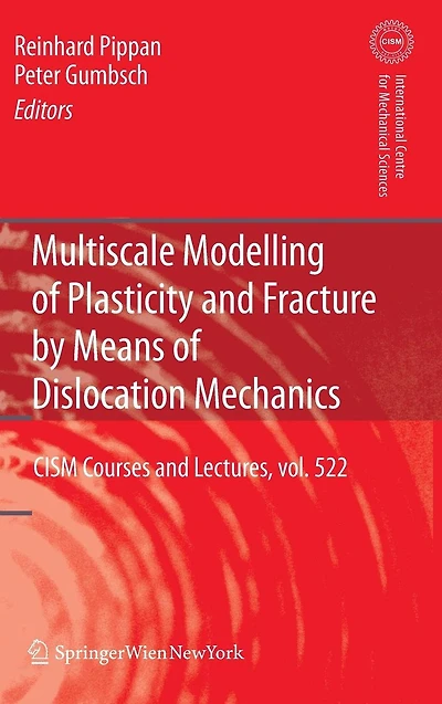 Multiscale Modelling of Plasticity and Fracture by Means Dislocation Mechanics