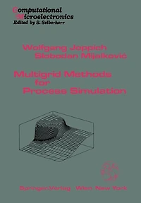 Multigrid Methods for Process Simulation