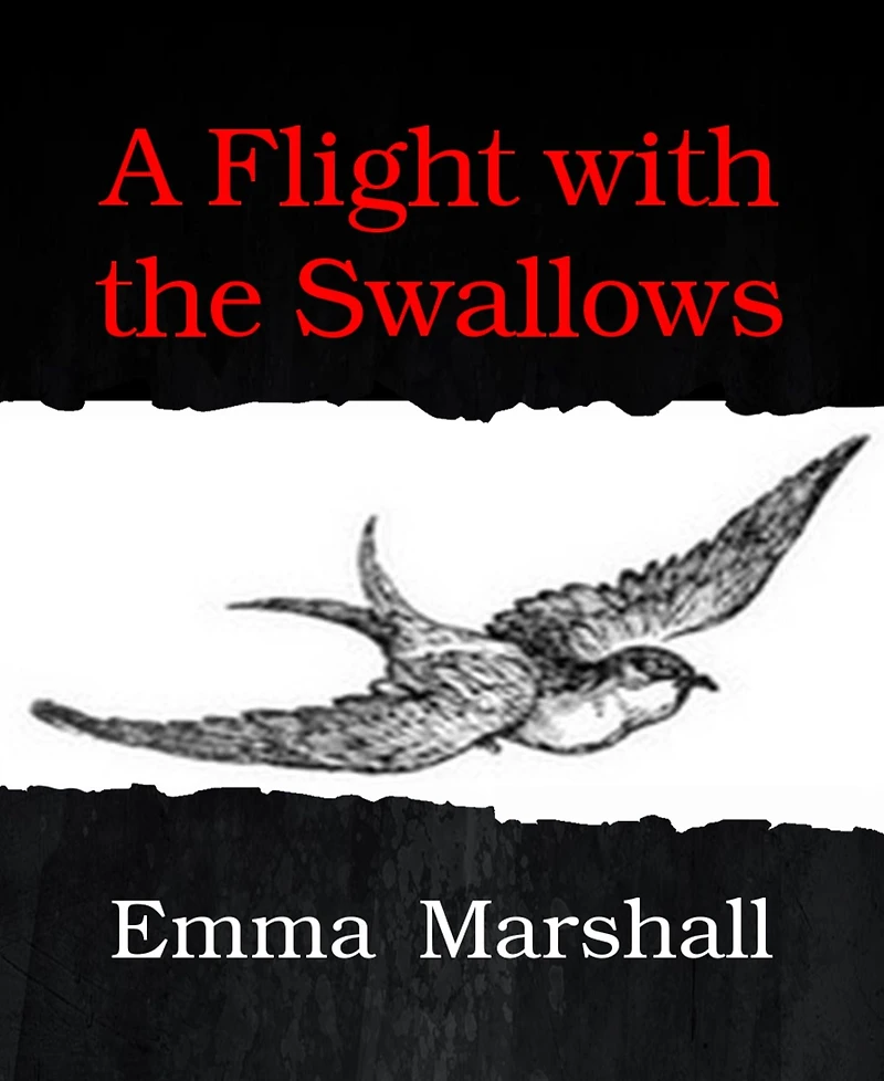 A flight with the swallows