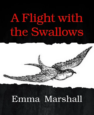 A flight with the swallows