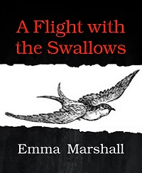 A flight with the swallows