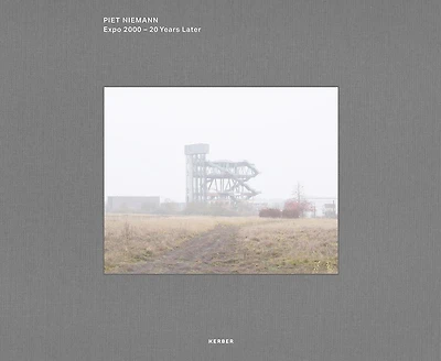 Piet Niemann: Expo 2000: 20 Years Later