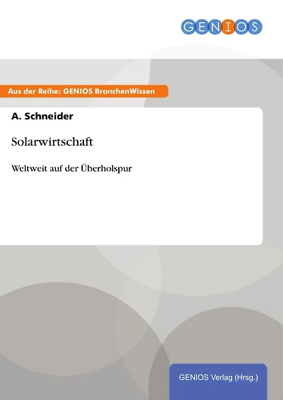 Solarwirtschaft: Weltweit auf der Überholspur