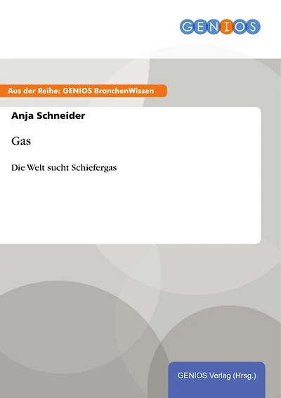 Gas: Die Welt sucht Schiefergas