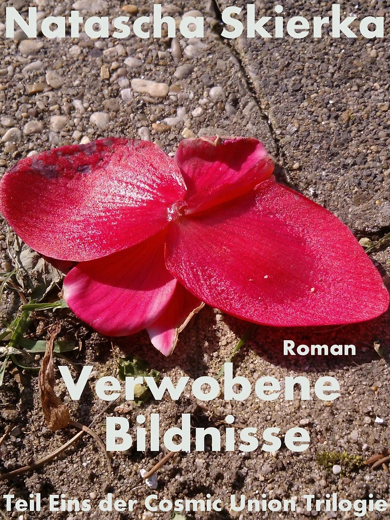 Verwobene Bildnisse: Teil Eins der Cosmic Union Trilogie