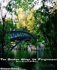 The Broken Wings of Forgiveness: Seven Beacons of Hope