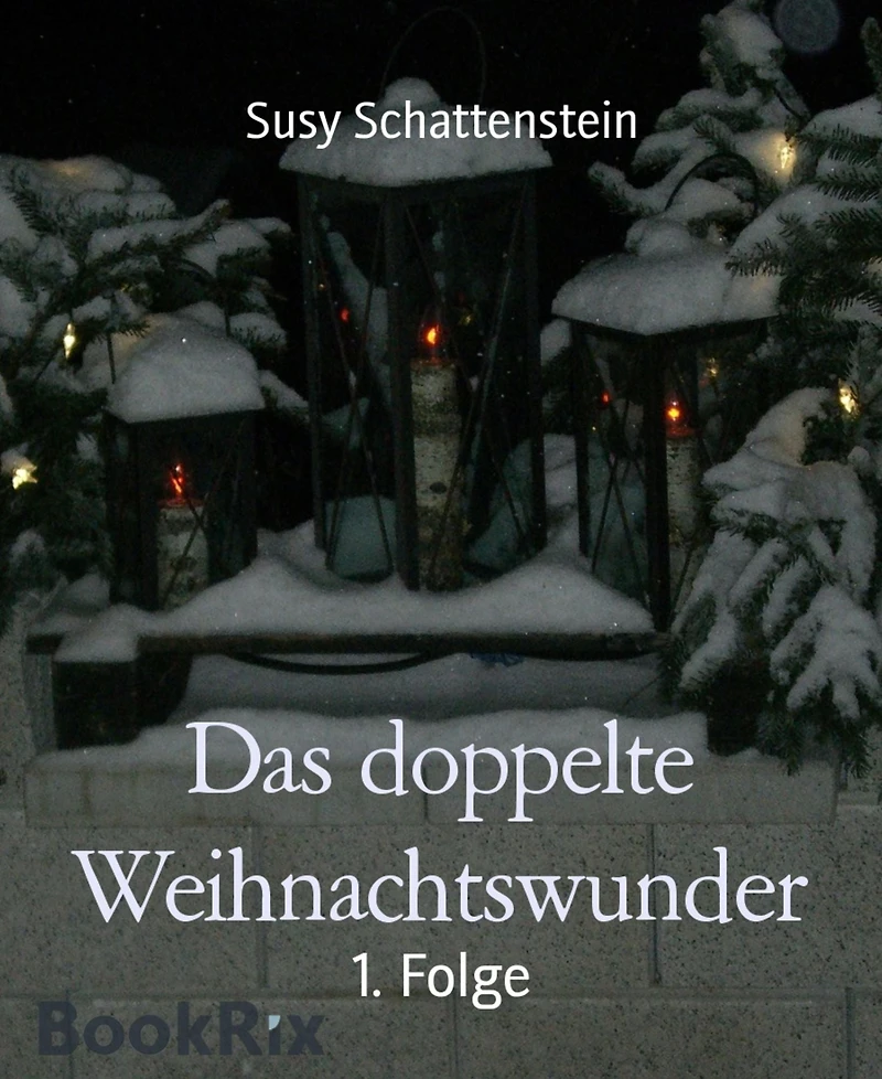 Das doppelte Weihnachtswunder: 1. Folge