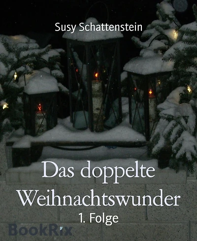 Das doppelte Weihnachtswunder: 1. Folge