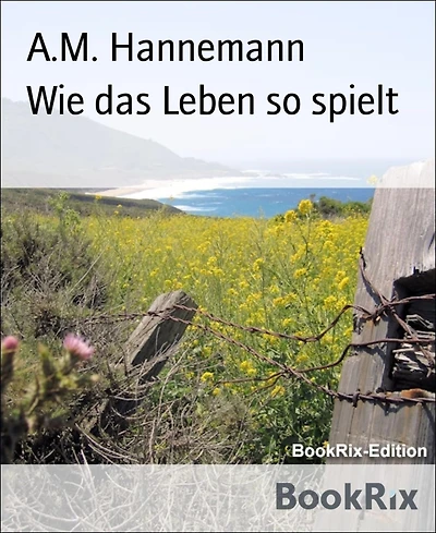 Wie das Leben so spielt: Meine gesammelten Kurzgeschichten