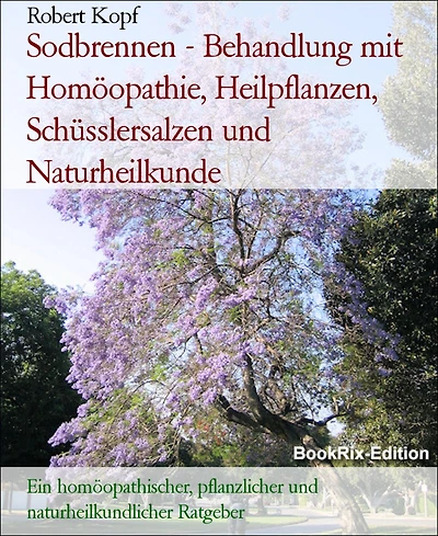 Sodbrennen - Behandlung mit Homöopathie, Heilpflanzen, Schüsslersalzen und Naturheilkunde: Ein homöopathischer, pflanzlicher und naturheilkundlicher Ratgeber