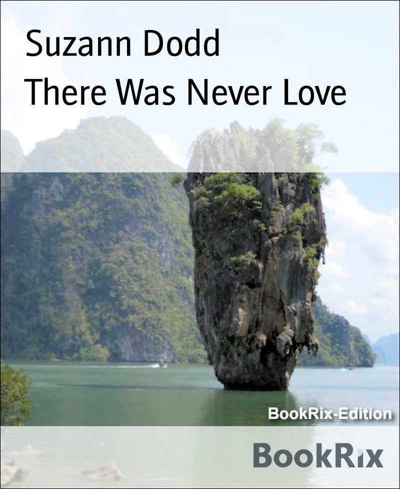 There Was Never Love
