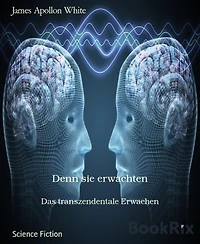 Denn sie erwachten: Das transzendentale Erwachen