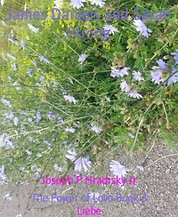 James Daniels and Sarah Strong: The Power of Love Book 3