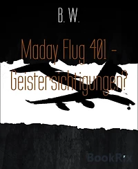 Maday Flug 401 - Geistersichtigungen?: Lampe und Sinkflug
