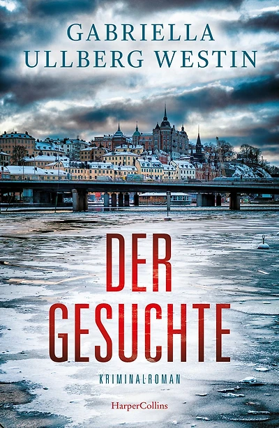 Der Gesuchte: Kriminalroman