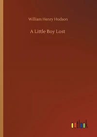 A Little Boy Lost
