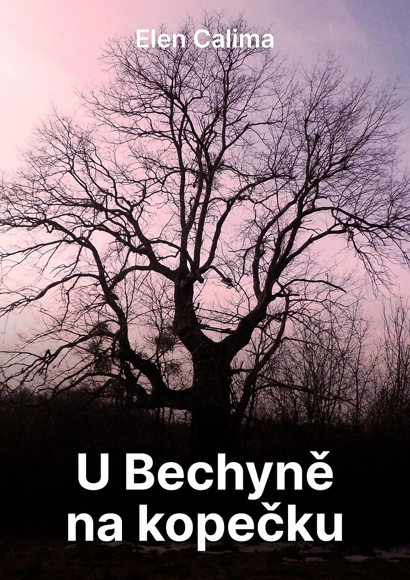 U Bechyne na kopecku