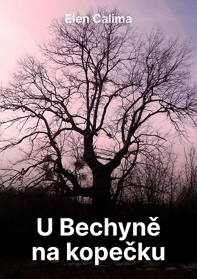 U Bechyne na kopecku