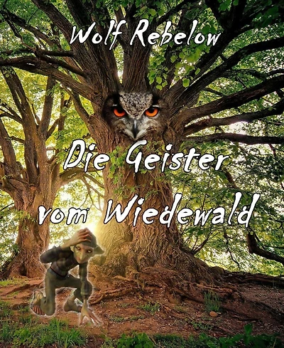 Die Geister vom Wiedewald: Ein Ferienabenteuer