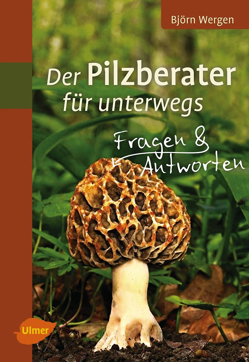 Der Pilzberater für unterwegs: Fragen & Antworten