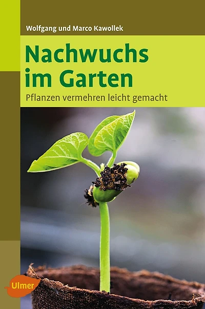 Nachwuchs im Garten: Pflanzen vermehren leicht gemacht