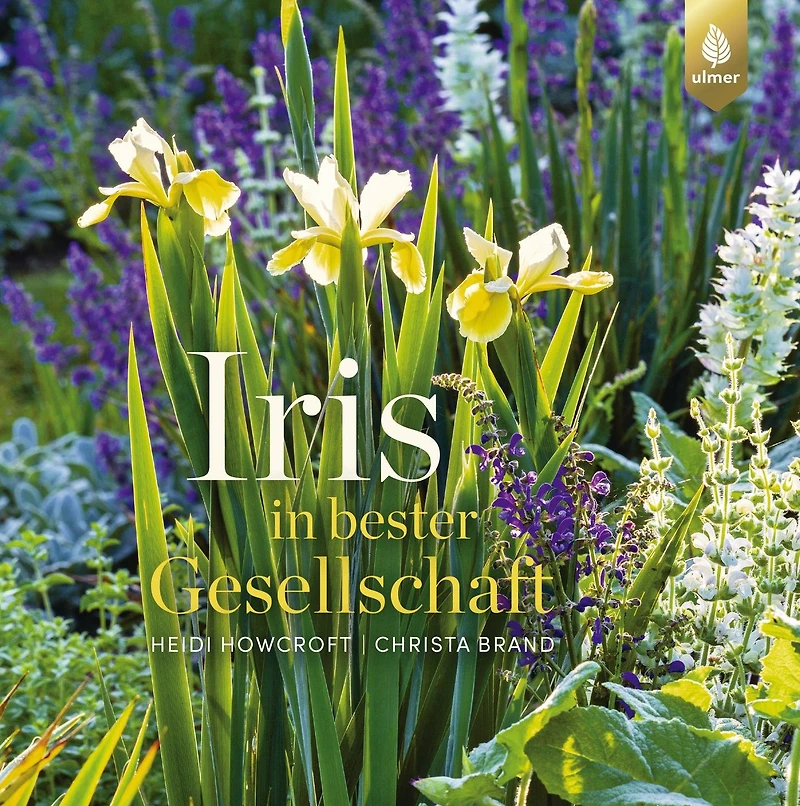 Iris in bester Gesellschaft: Inspirierende Ideen für die Verwendung von Schwertlilien im Garten