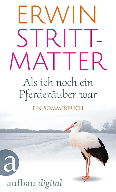 Als ich noch ein Pferderäuber war: Ein Sommerbuch