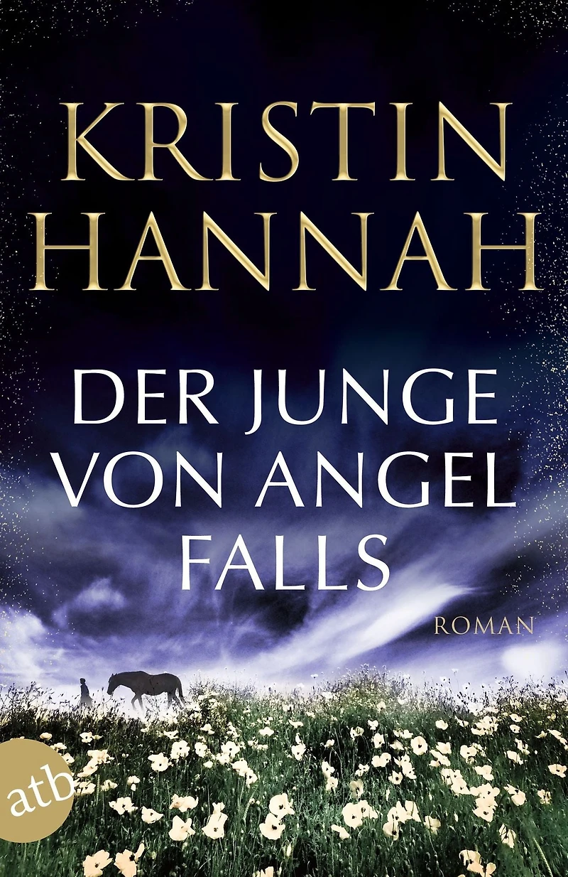 Der Junge von Angel Falls - Wenn Engel schweigen (Gekürzt)