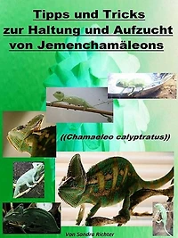 Tipps und Tricks zur Haltung und Aufzucht vom Jemenchamäleon