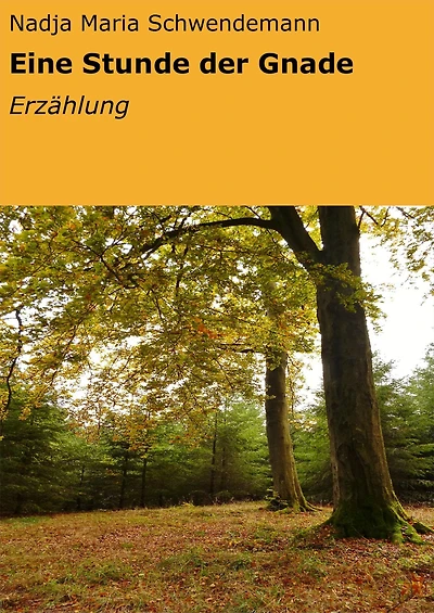 Eine Stunde der Gnade: Erzählung