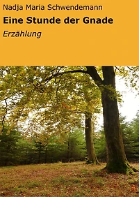 Eine Stunde der Gnade: Erzählung