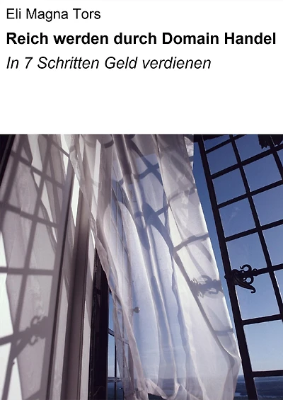 Reich werden durch Domain Handel: In 7 Schritten Geld verdienen