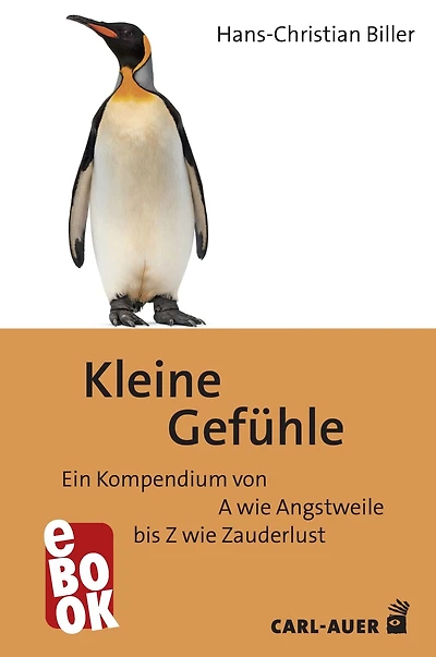 Kleine Gefühle: Ein Kompendium von A wie Angstweile bis Z wie Zauderlust