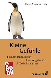 Kleine Gefühle: Ein Kompendium von A wie Angstweile bis Z wie Zauderlust