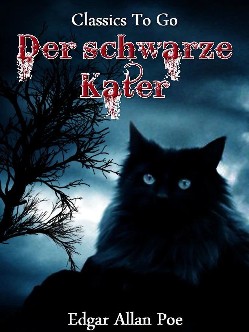 Der schwarze Kater