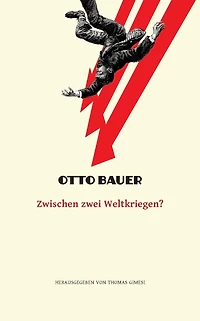 Zwischen zwei Weltkriegen?: Die Krise der Weltwirtschaft, der Demokratie und des Sozialismus