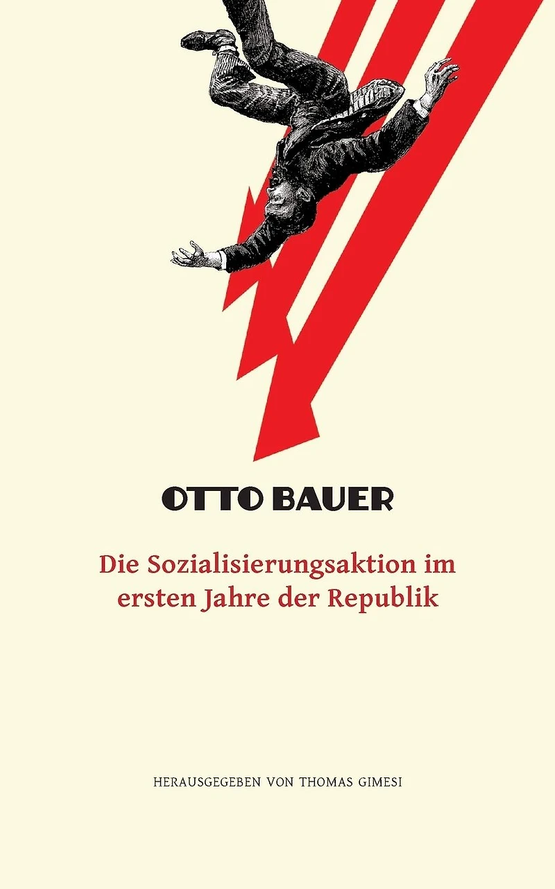 Die Sozialisierungsaktion im ersten Jahre der Republik
