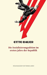 Die Sozialisierungsaktion im ersten Jahre der Republik