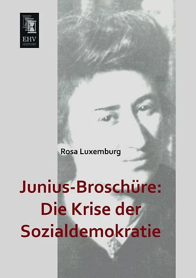 Junius-Broschure: Die Krise Der Sozialdemokratie