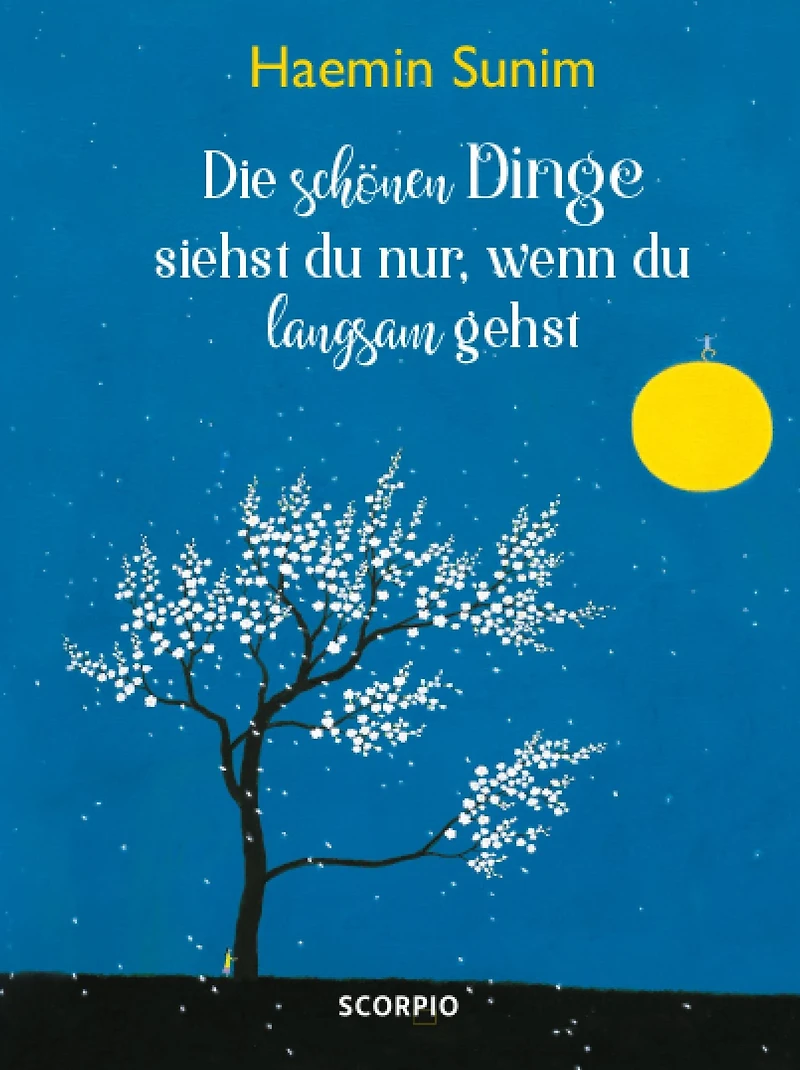 Die schönen Dinge siehst du nur, wenn langsam gehst (Abridged)