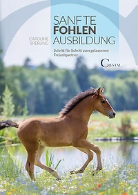 Sanfte Fohlenausbildung: Schritt für Schritt zum gelassenen Freizeitpartner