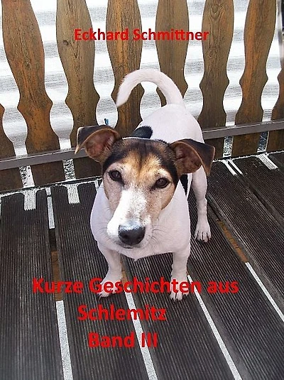 Kurze Geschichten aus Schlemitz