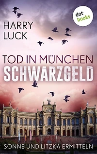 Tod in München - Schwarzgeld: Der zweite Fall für Sonne und Litzka: Kriminalroman